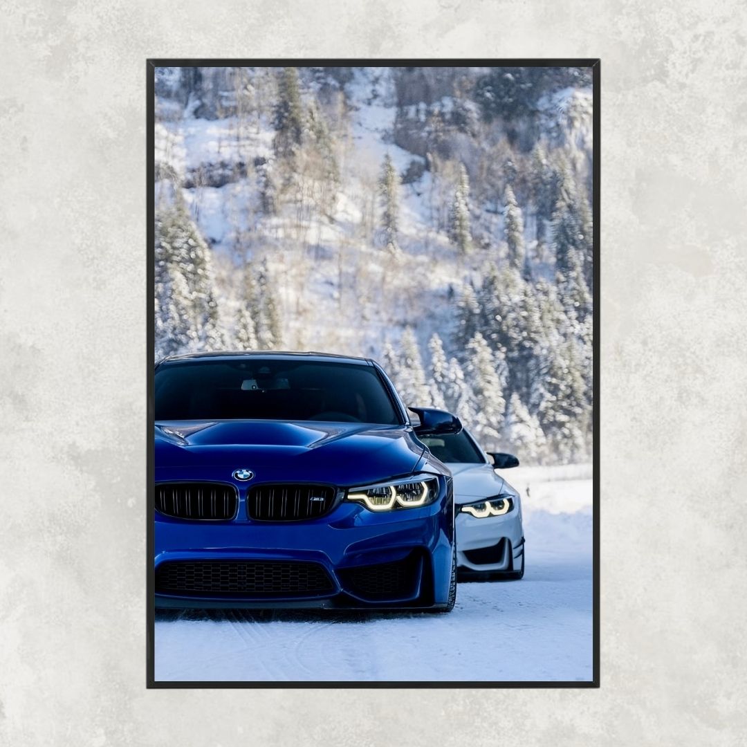 BMW M3 F80 Snow - Gallery