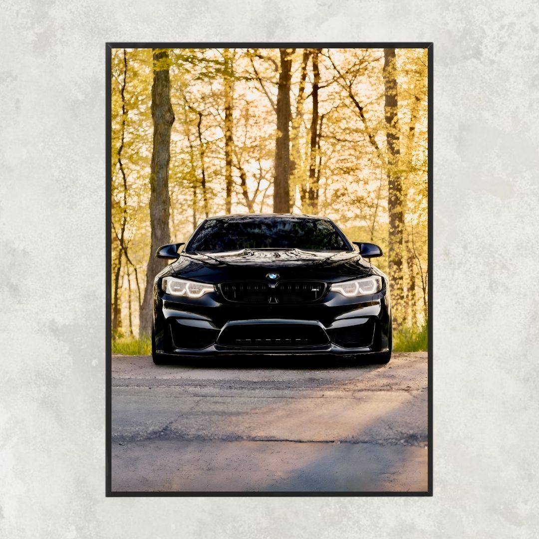 BMW M4 F82 Forest - Gallery