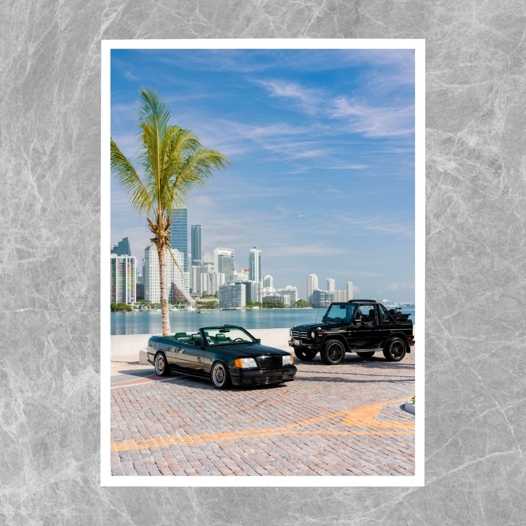 Mercedes Miami - Gallery
