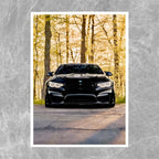 BMW M4 F82 Forest - Gallery
