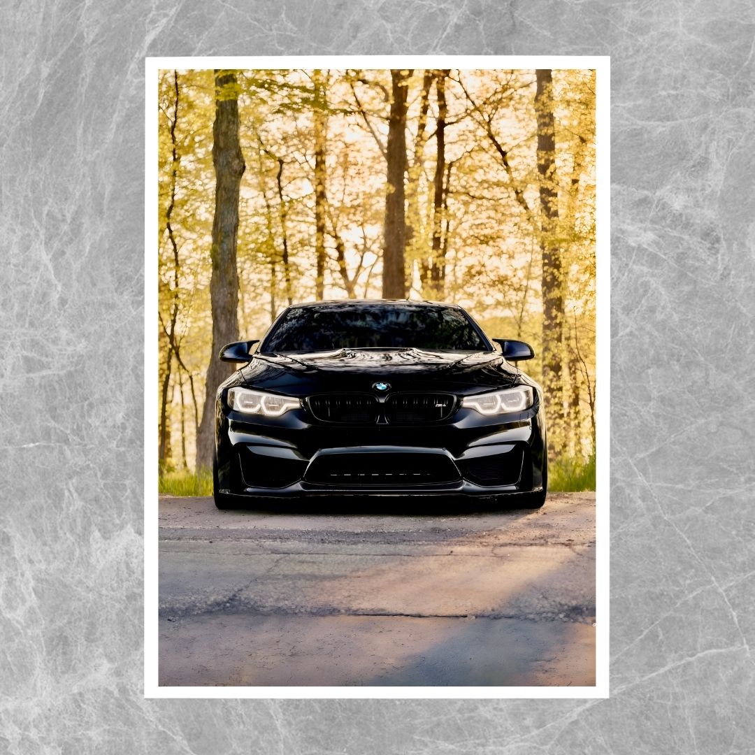 BMW M4 F82 Forest - Gallery