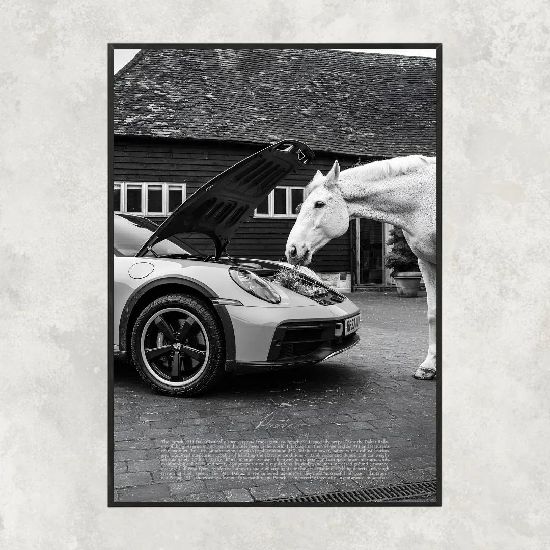 Porsche 911 Dakar Horse - Gallery