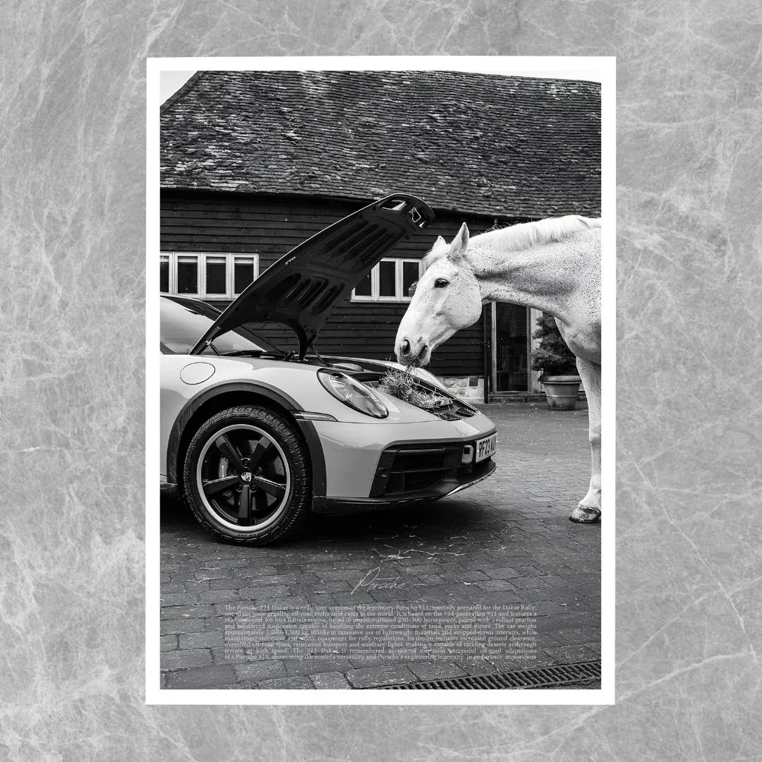 Porsche 911 Dakar Horse - Gallery