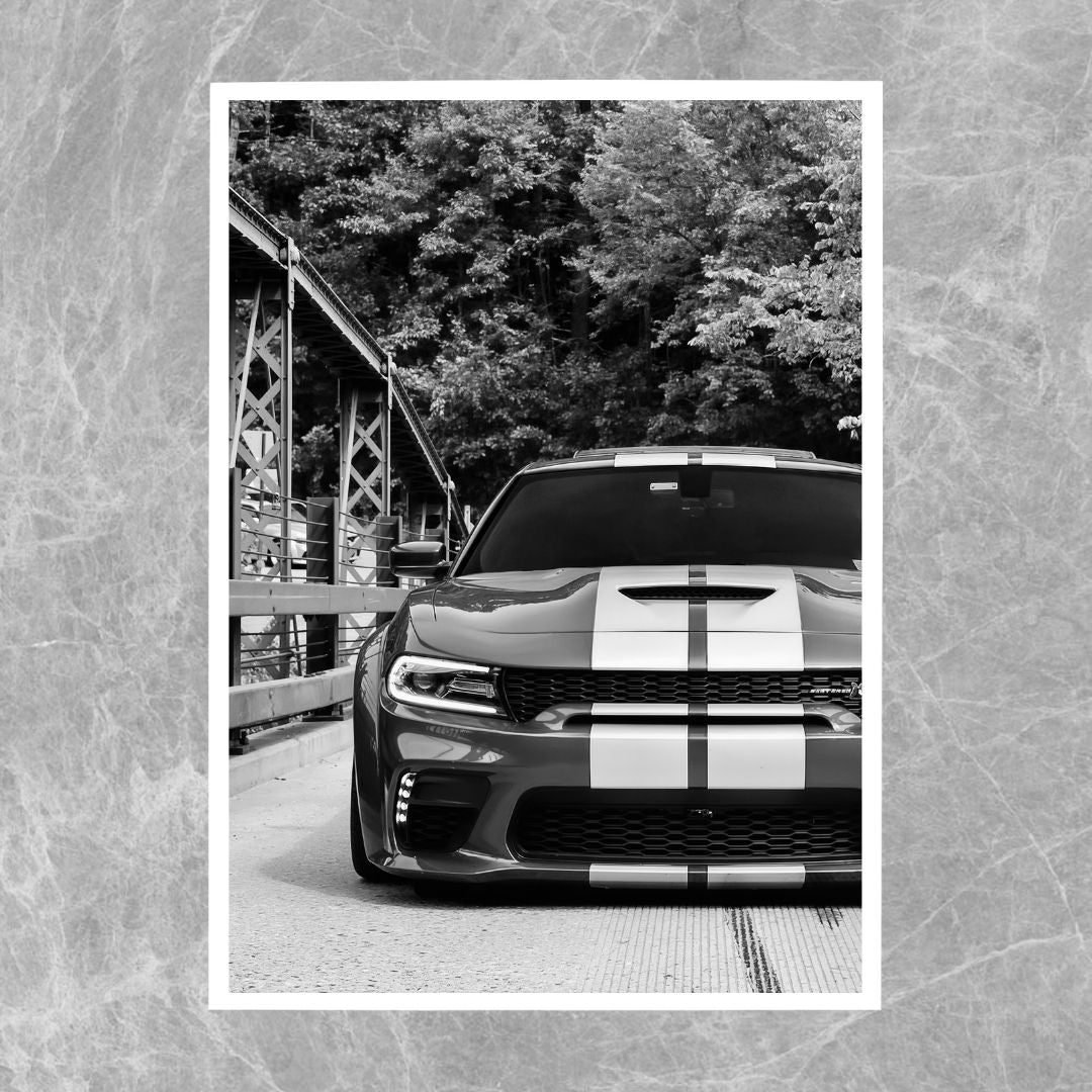 Dodge Charger Front - Gallery
