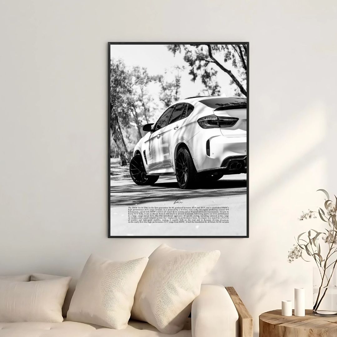 BMW X6 M White - Gallery