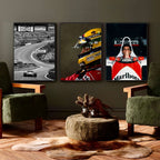 Ayrton Senna's Helmet - Gallery