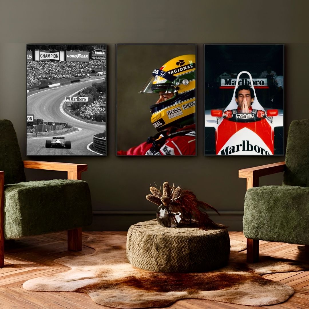 Ayrton Senna's Helmet - Gallery