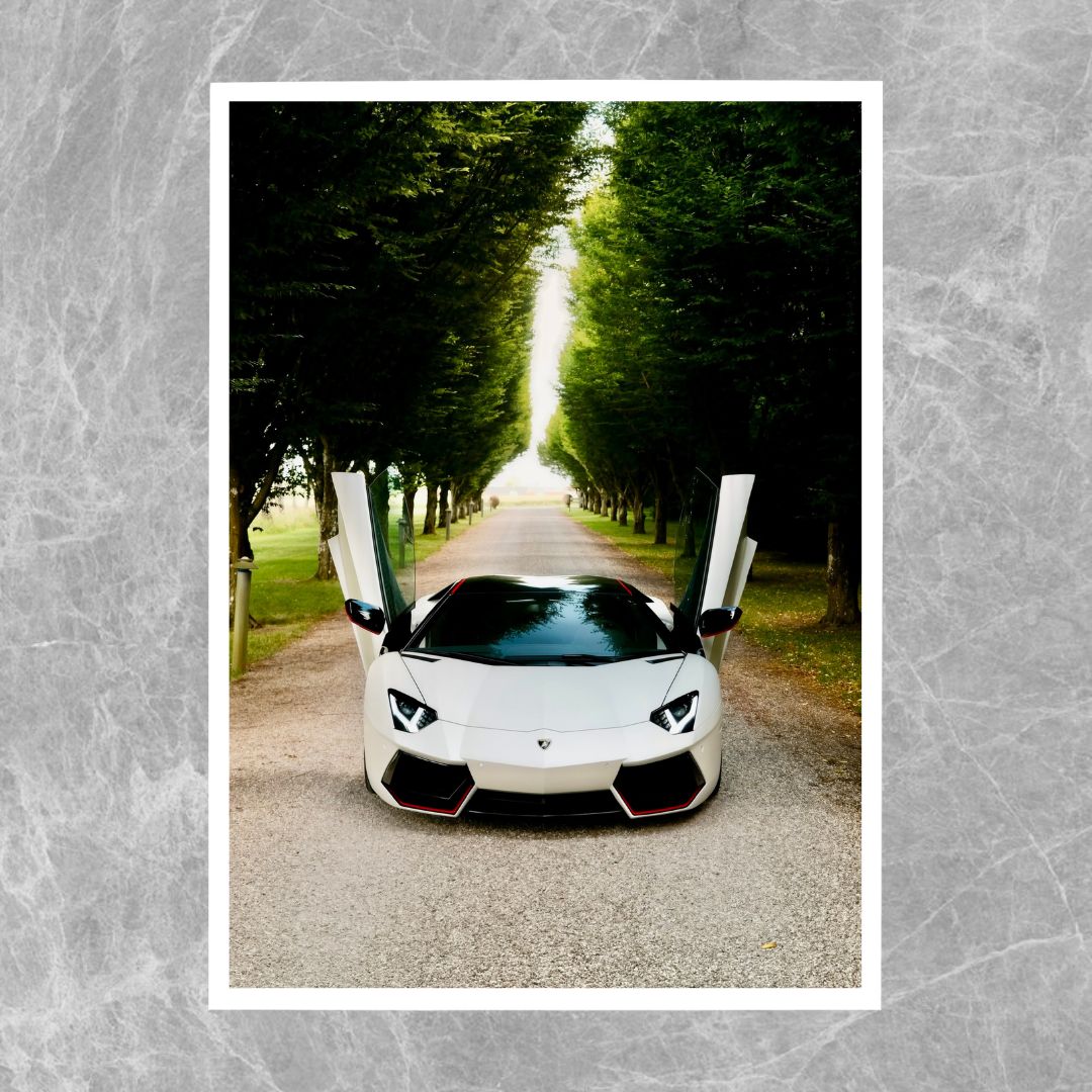 Lamborghini Aventador Pfad - Galerie