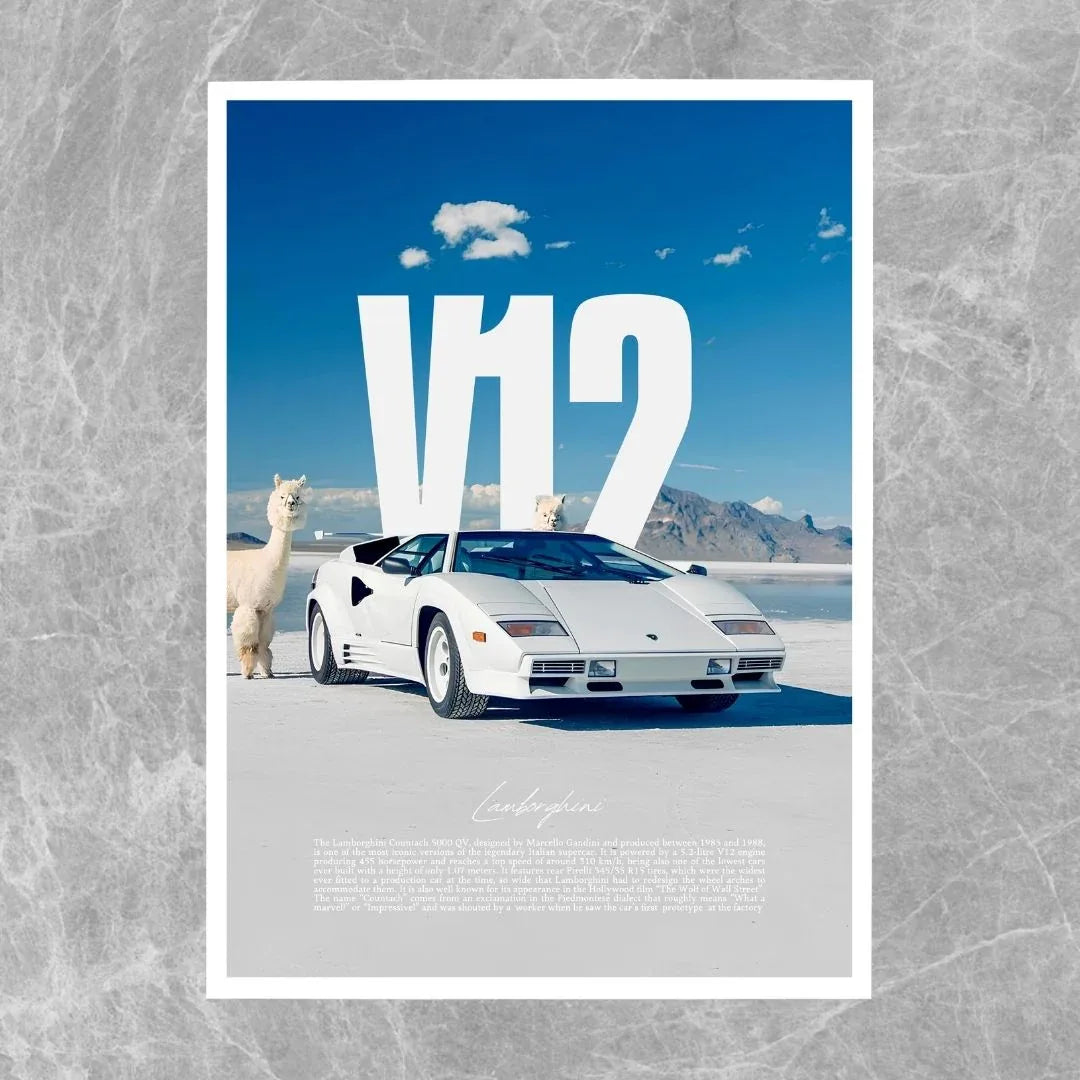 Lamborghini Countach Alpaca – Galerie