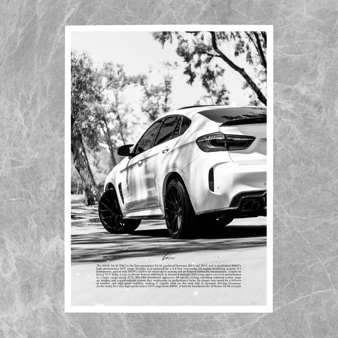 BMW X6 M White - Gallery