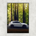 Alfa Romeo Stelvio Quadrifoglio - Gallery