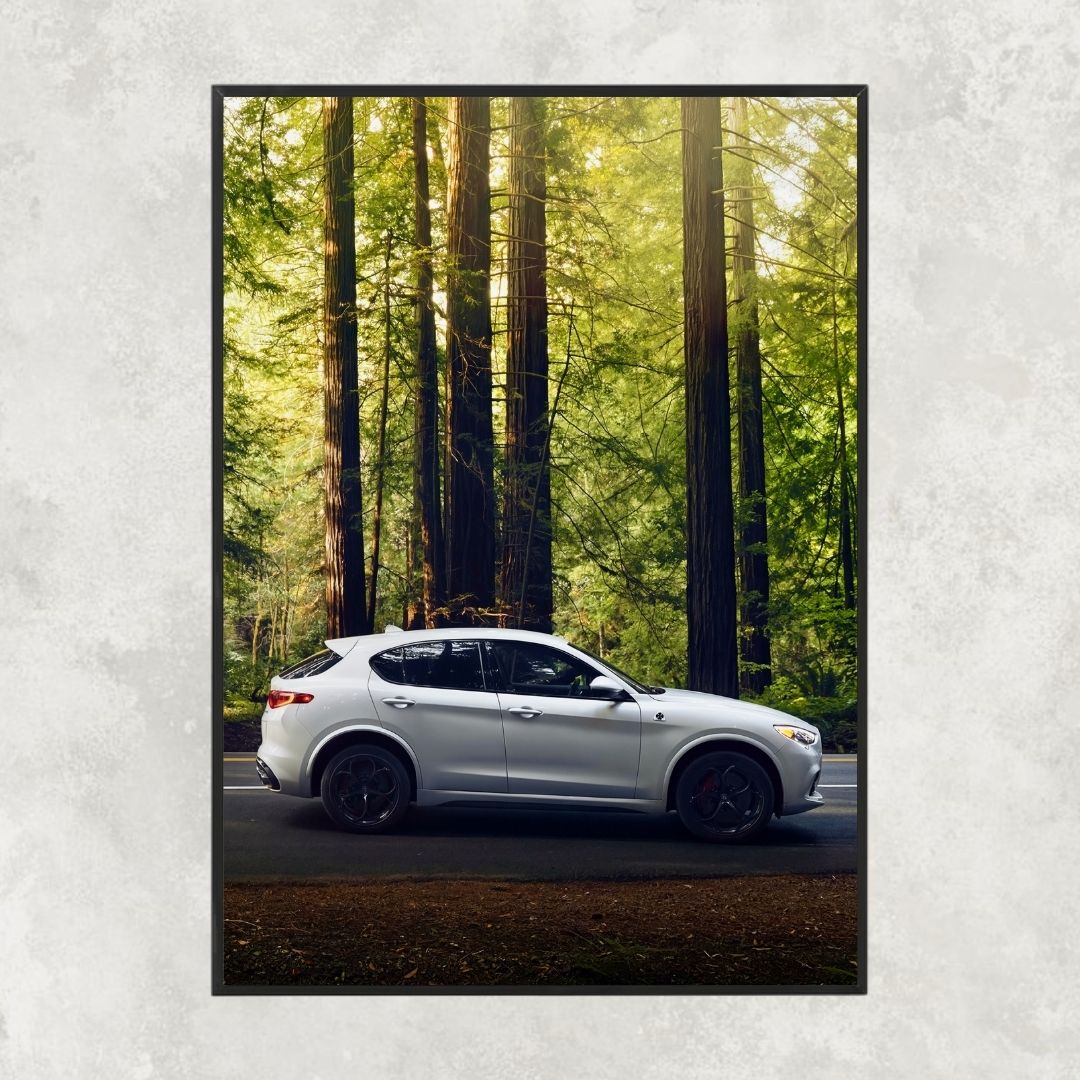 Alfa Romeo Stelvio Quadrifoglio - Gallery