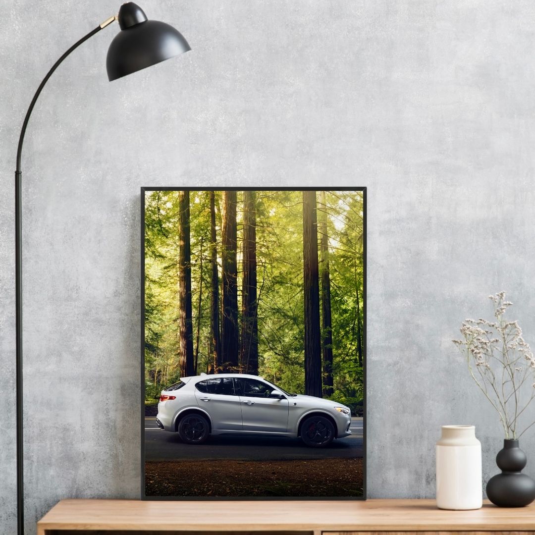 Alfa Romeo Stelvio Quadrifoglio - Gallery