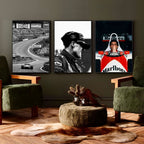 Michael Schumacher Celebrating - Gallery