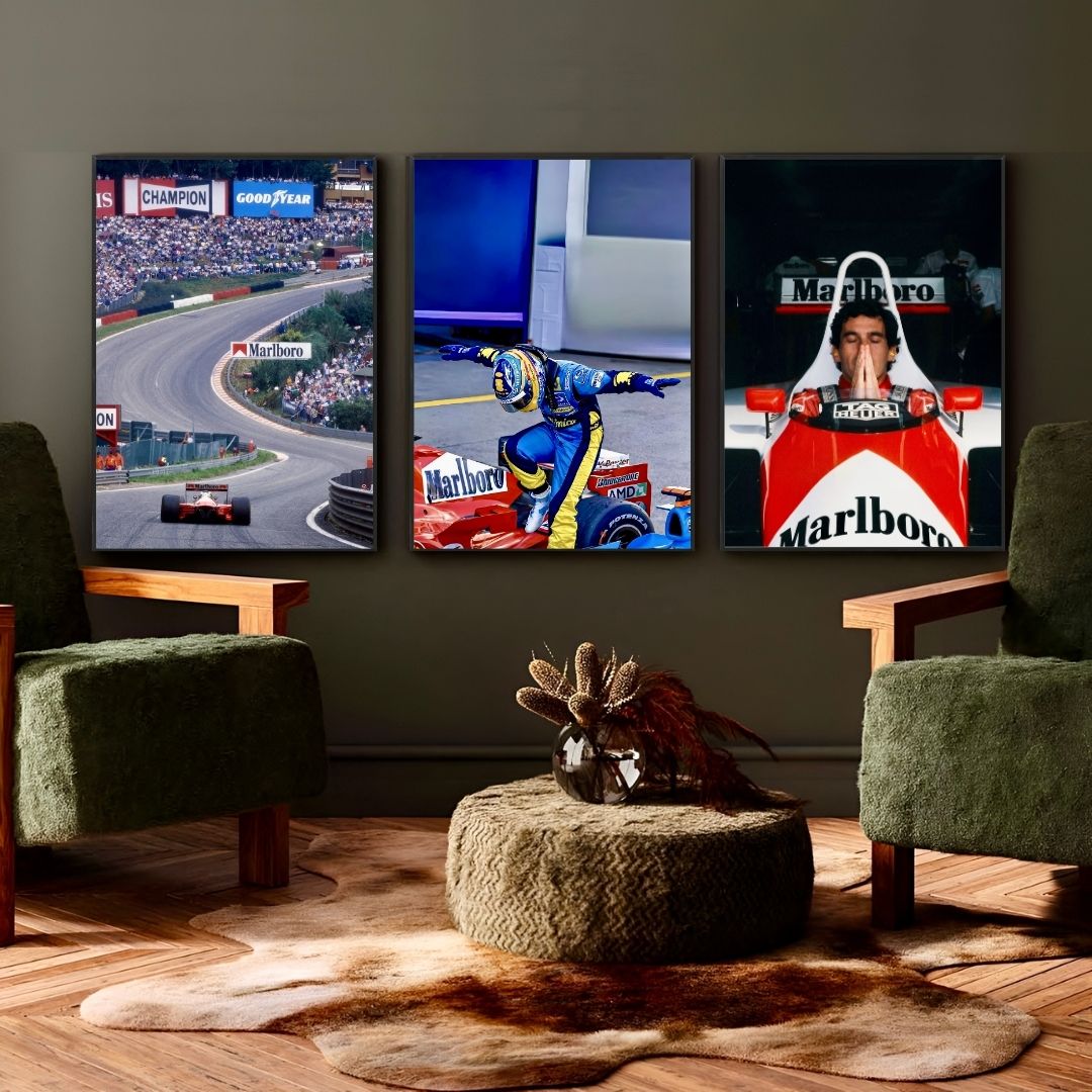 Fernando Alonso Renault R25 F1 - Gallery