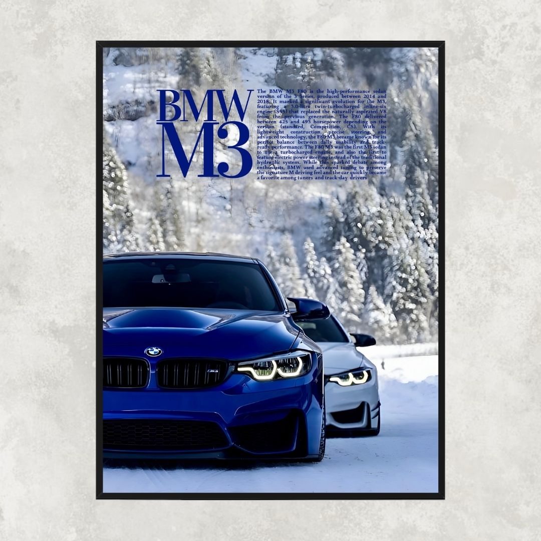 BMW M3 F80 Snow - Old money