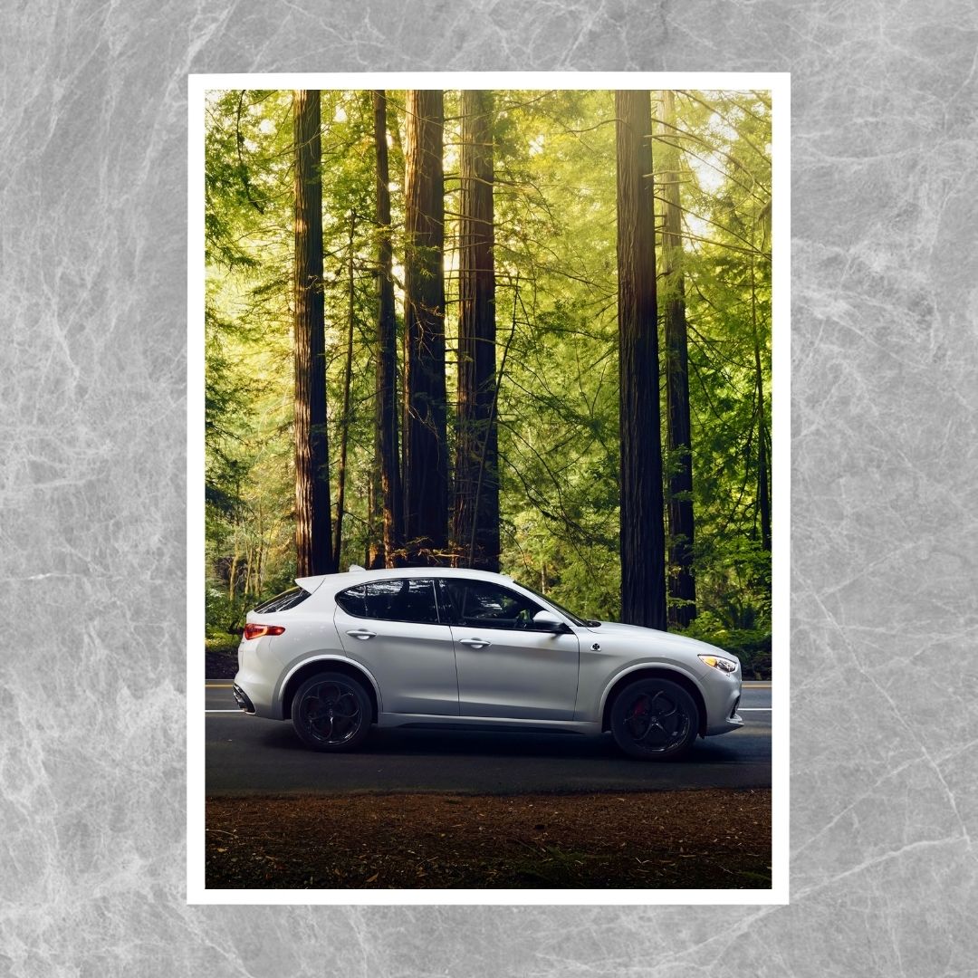 Alfa Romeo Stelvio Quadrifoglio - Gallery