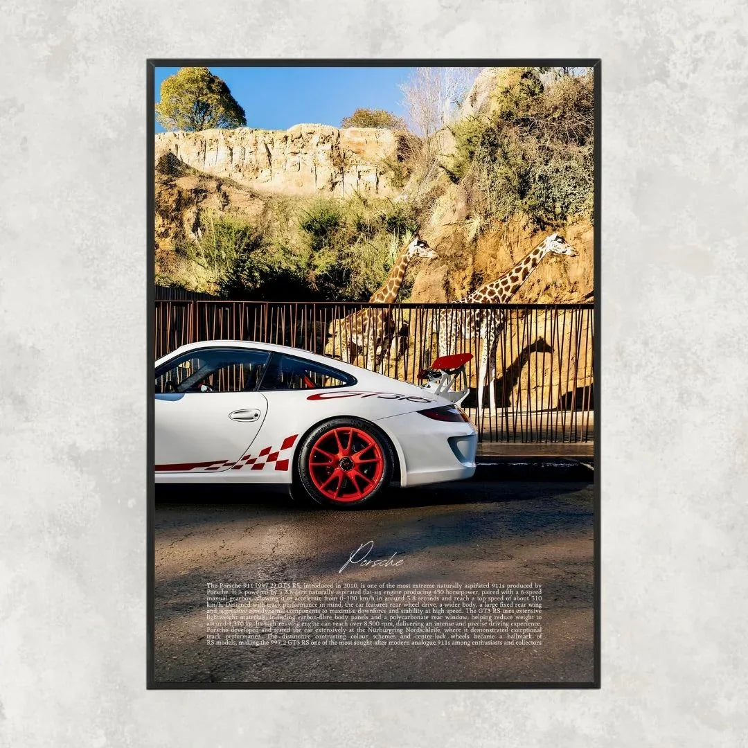Porsche 911 GT3 RS 997.2 Giraffe - Gallery