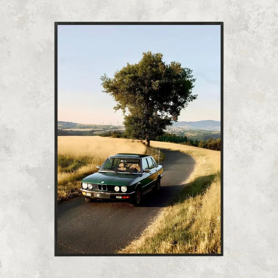 BMW Serie 5 E28 - Old money