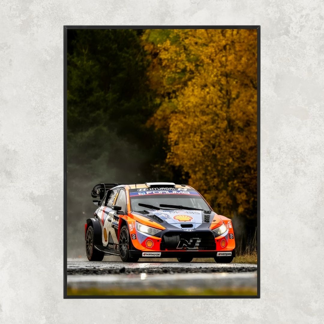 Hyundai i20 N Rally - Gallery