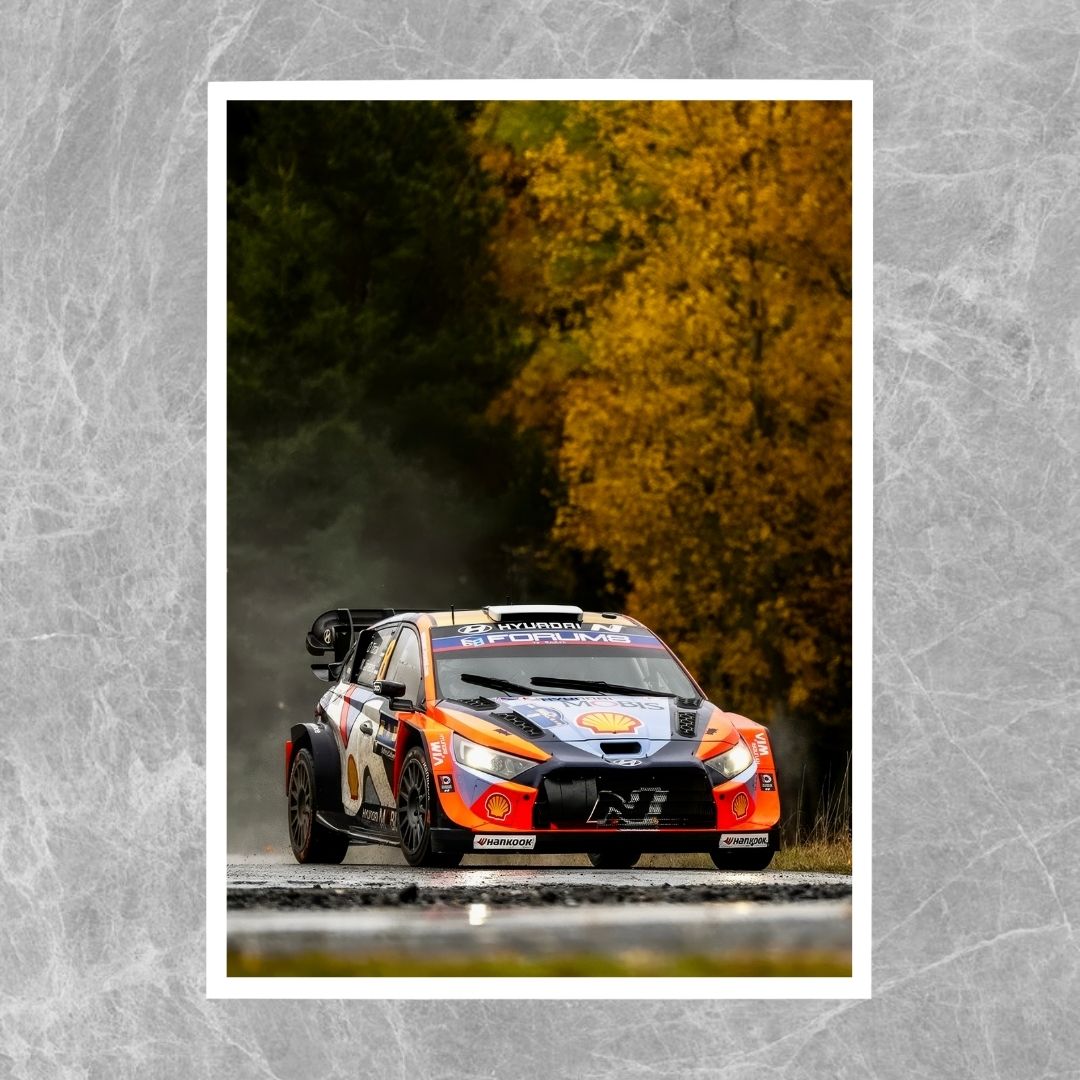 Hyundai i20 N Rally - Gallery