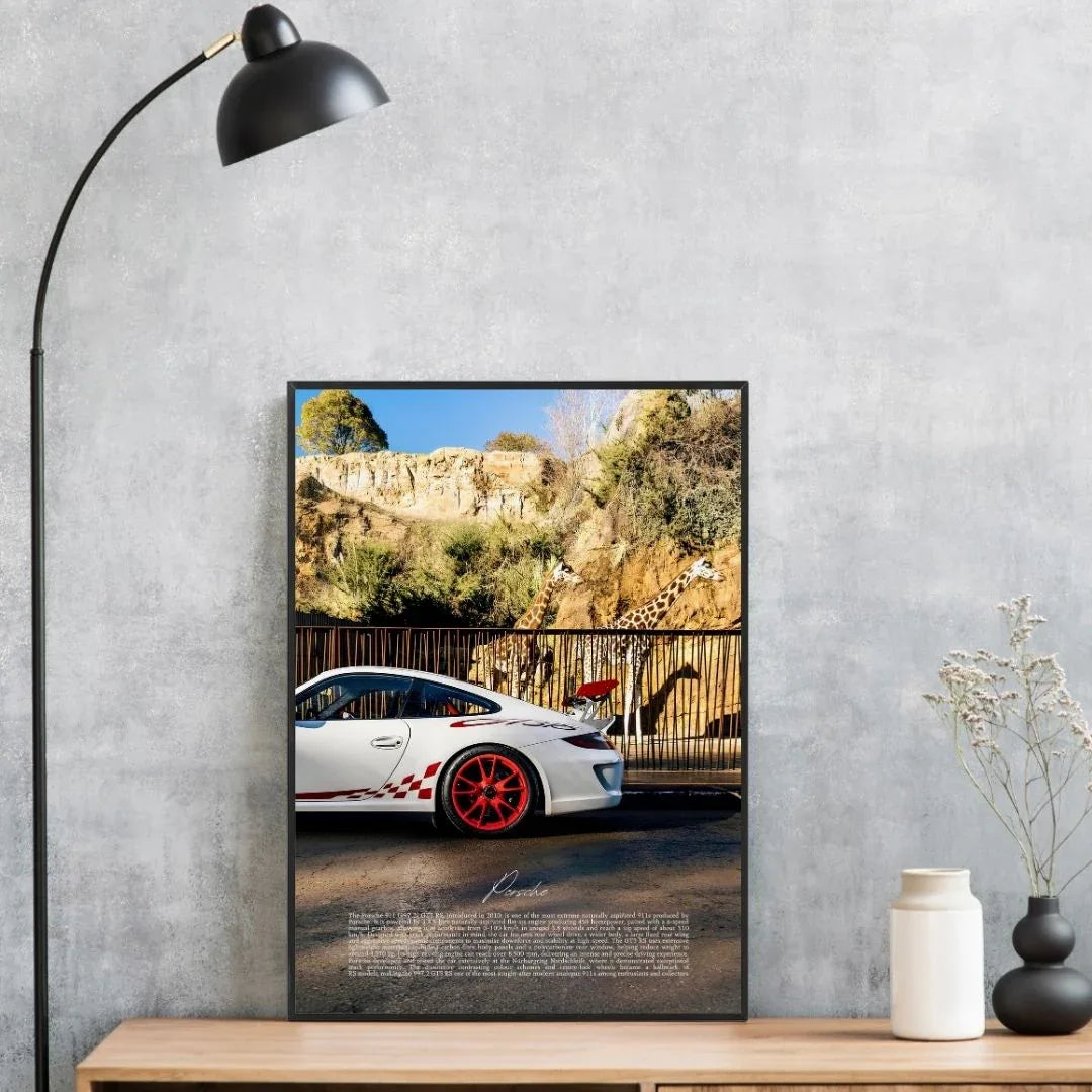 Porsche 911 GT3 RS 997.2 Giraffe - Gallery
