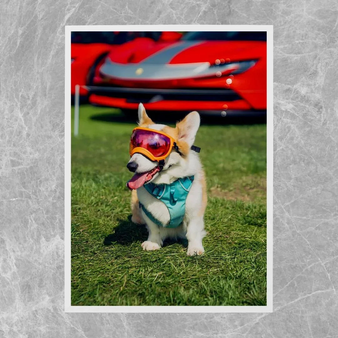 Ferrari SF90 Stralade Dog – Galerie