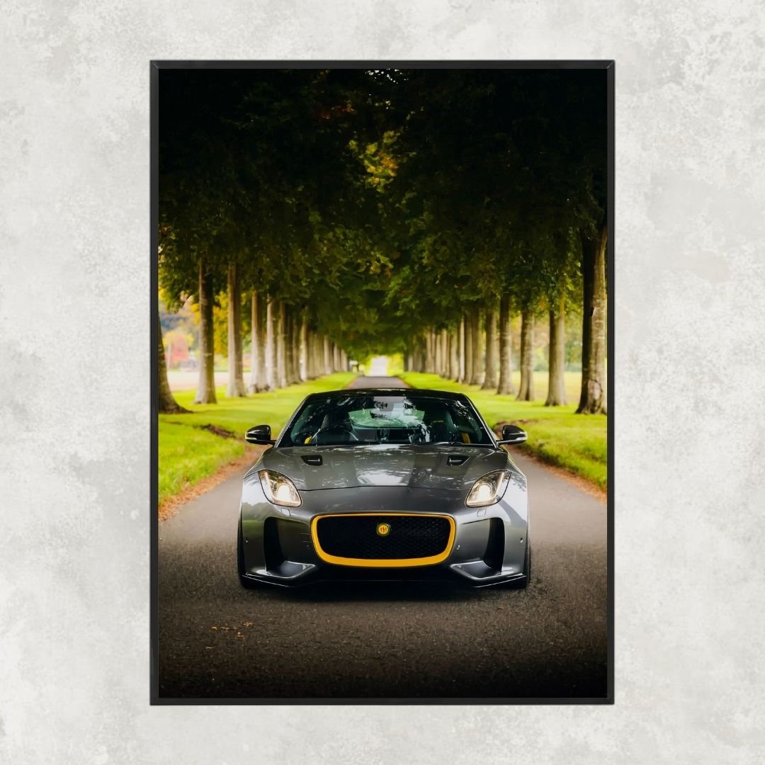 Jaguar Lister F-Type 666 - Gallery