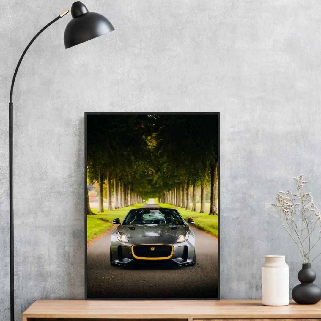 Jaguar Lister F-Type 666 - Gallery