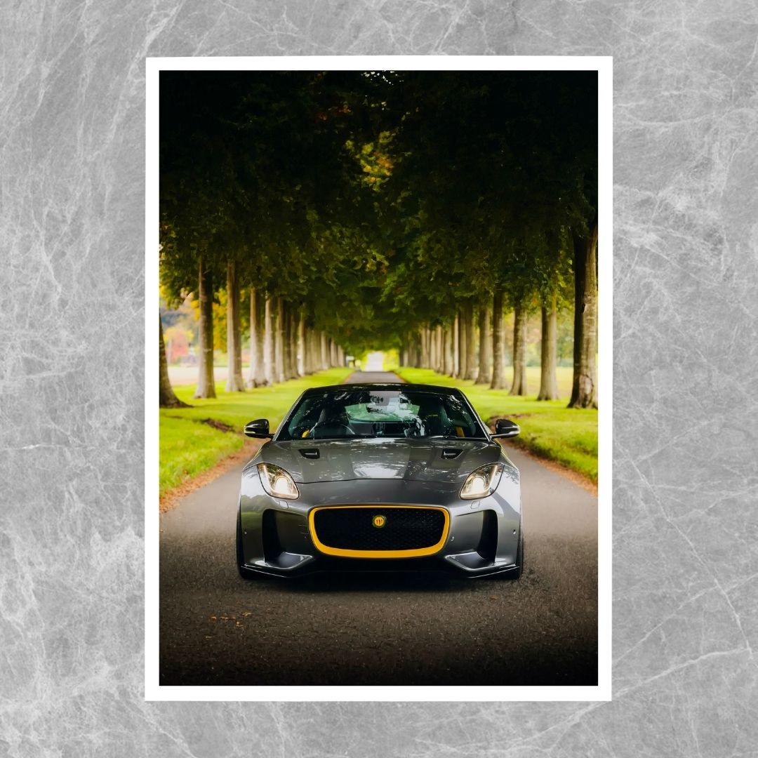 Jaguar Lister F-Type 666 - Gallery